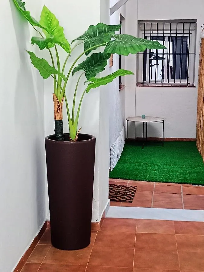 Casa Fluri Apartment San Fernando Spain